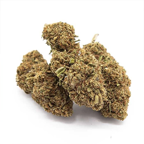 GORILLA GLUE 1150