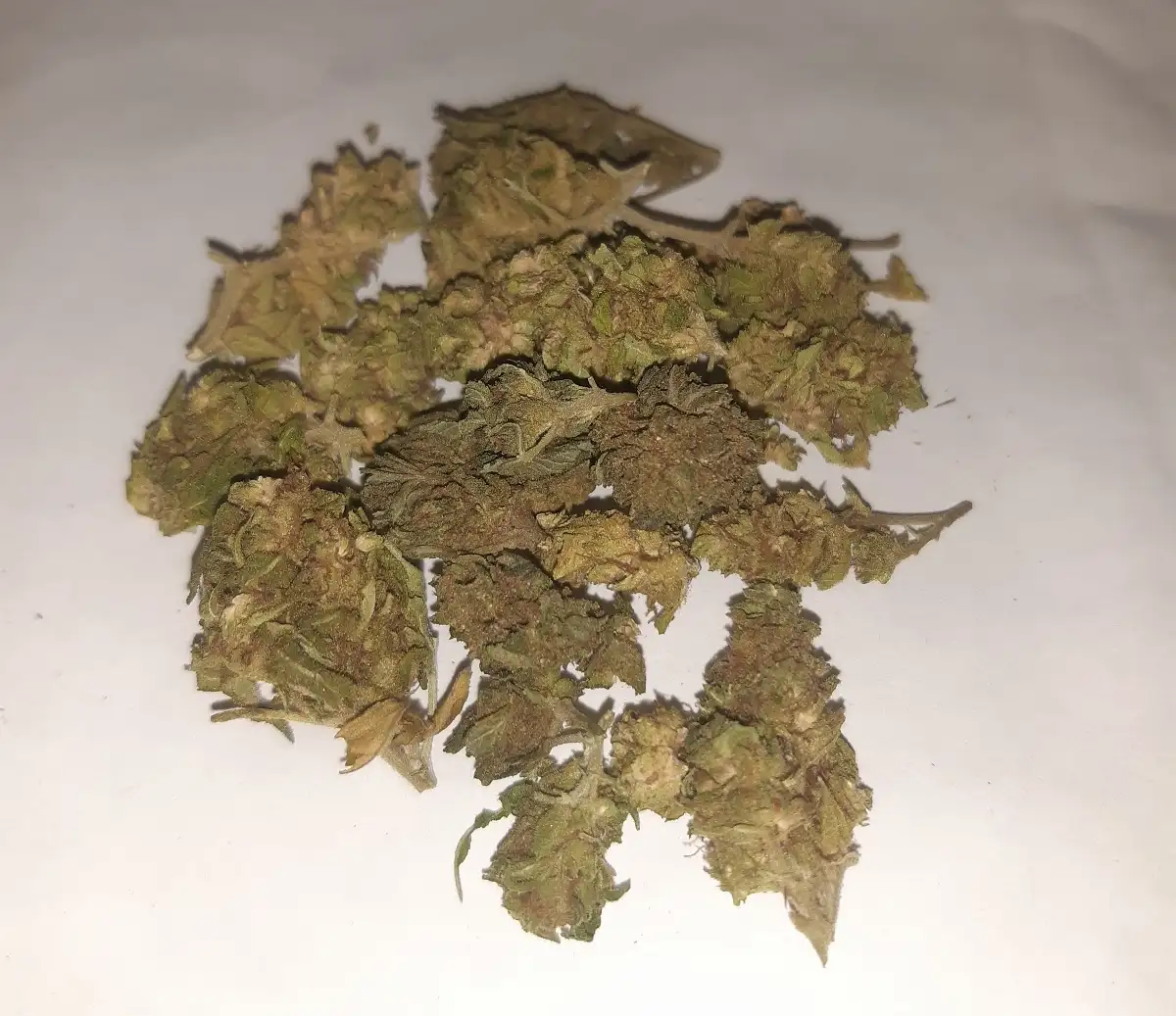 Candy